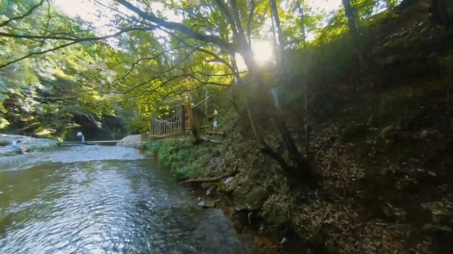 奥水間の川沿い動画