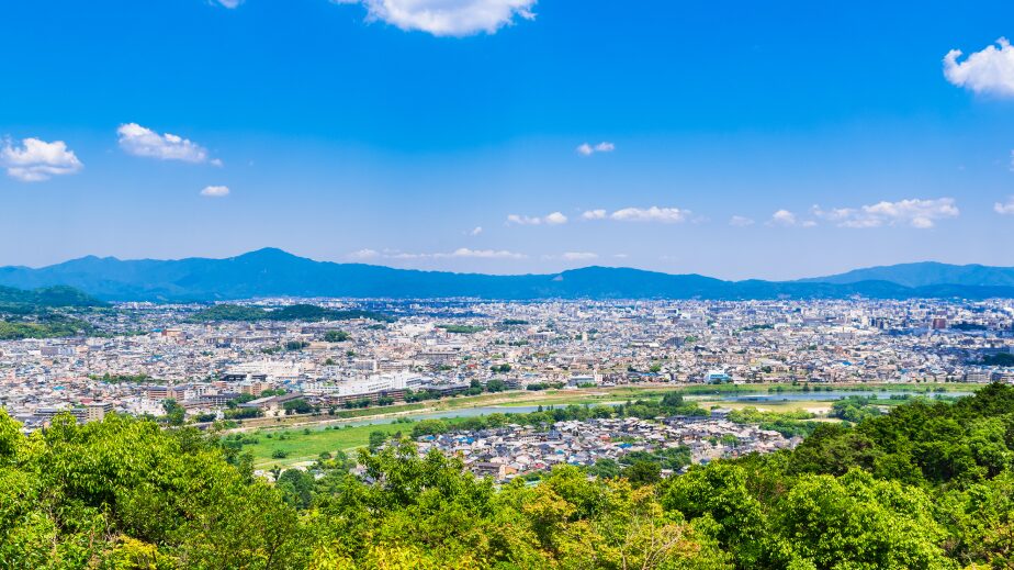 小麦山 登山道動画